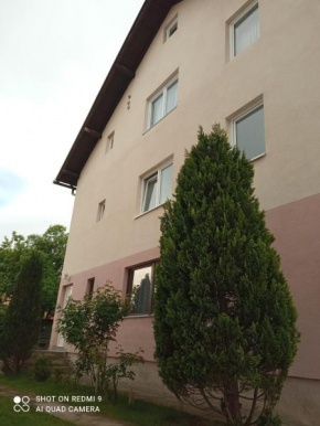 Apartmani Knezevic